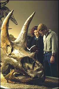 [visitor_triceratops.jpg]