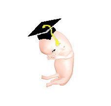 [Embryo+graduates+to+fetus.JPG]