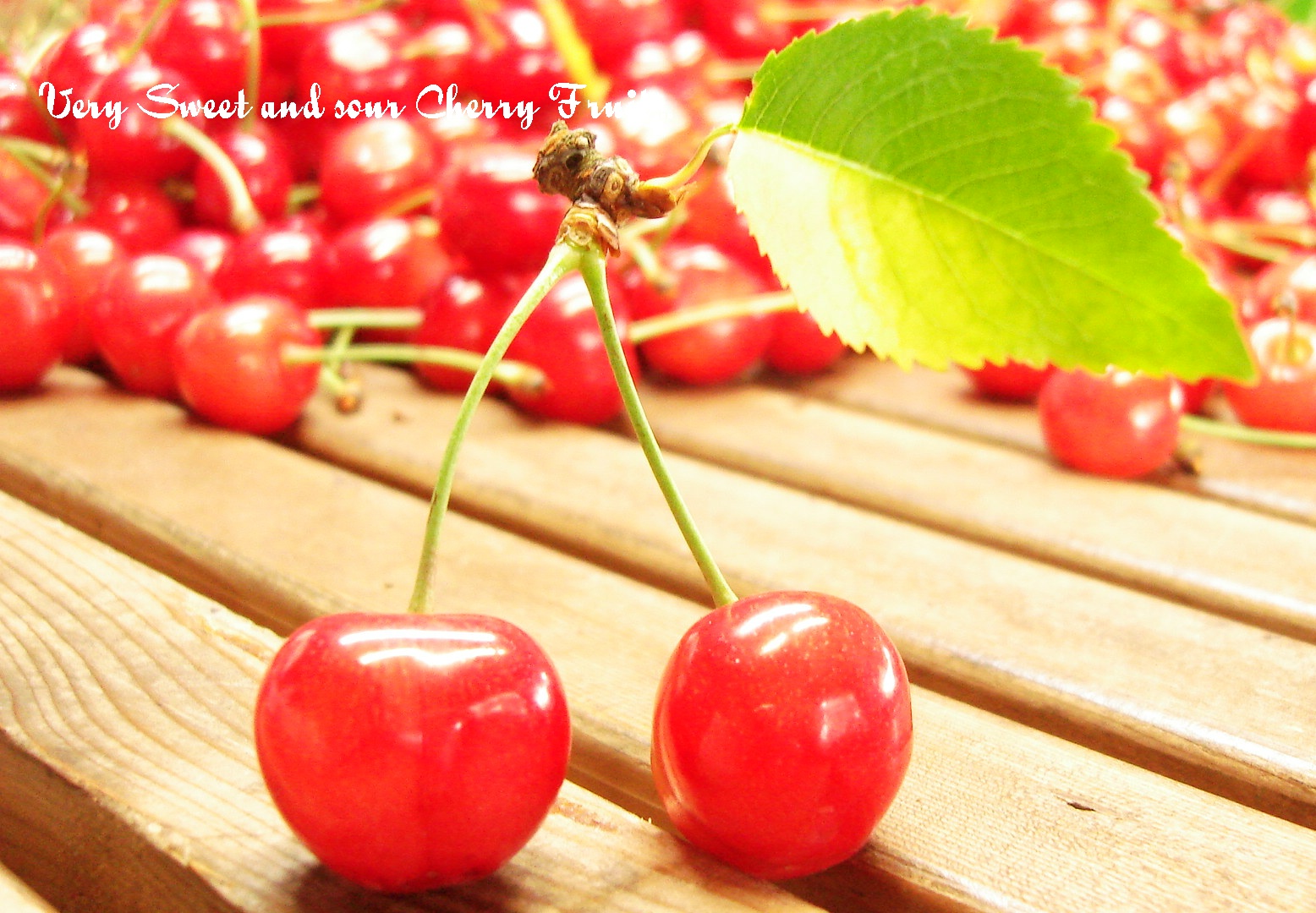 [cherry.JPG]