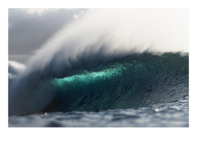 [hawaii+wave.jpg]