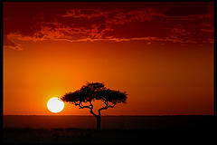 [kenya+sunset.jpg]