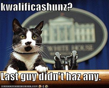 [funny-pictures-cat-makes-political-statement.jpg]