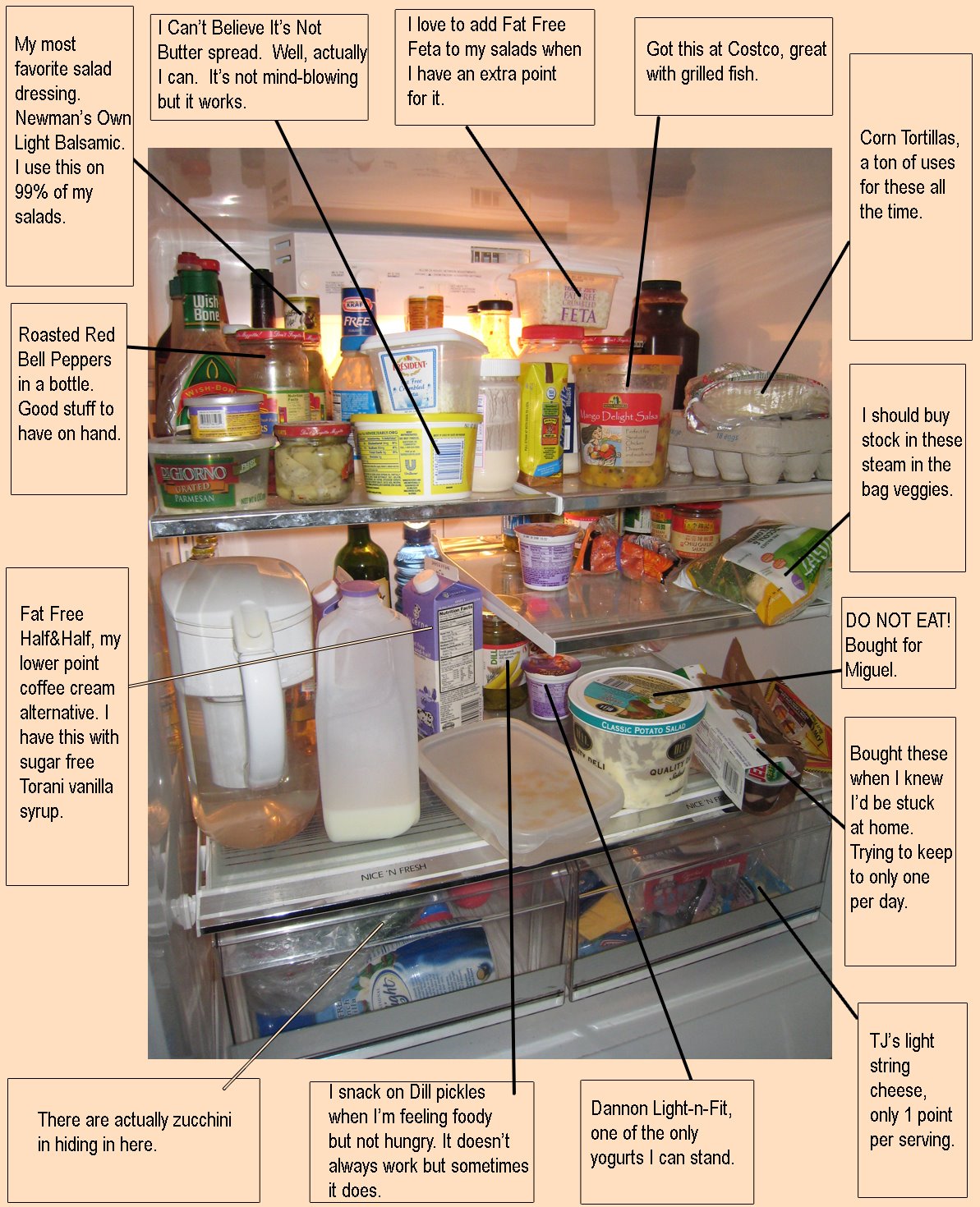 [whats+in+the+fridge_01x.jpg]