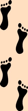 [footprint-silhouette.jpg]