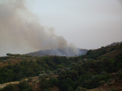 forest fire in santa caterina, calabria, southern italy