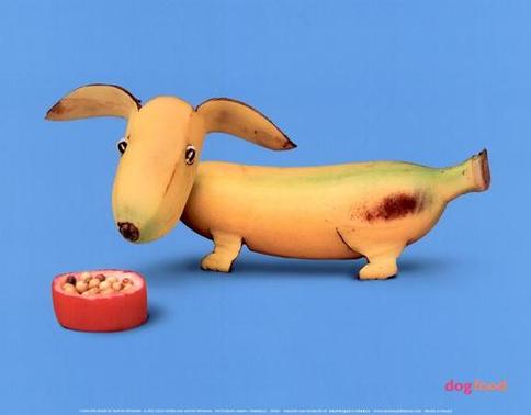 [Dogfood---Banana-Dog-Print-C10112887.jpg]