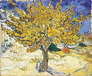 [N+Simon+Mus+Van+Gogh+Mulberry+Tree+1889.bmp]