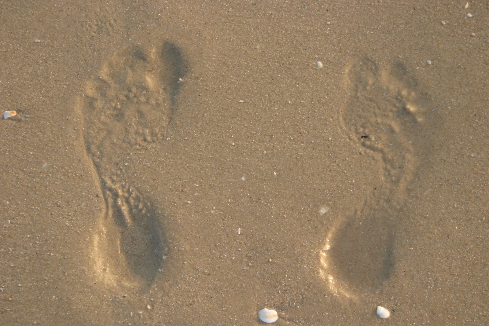 [FootprintsA.jpg]