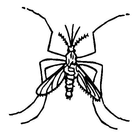 [mosquit1.gif]