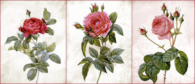 vintage roses