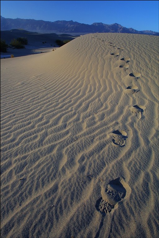 [footsteps-in-sand.jpg]