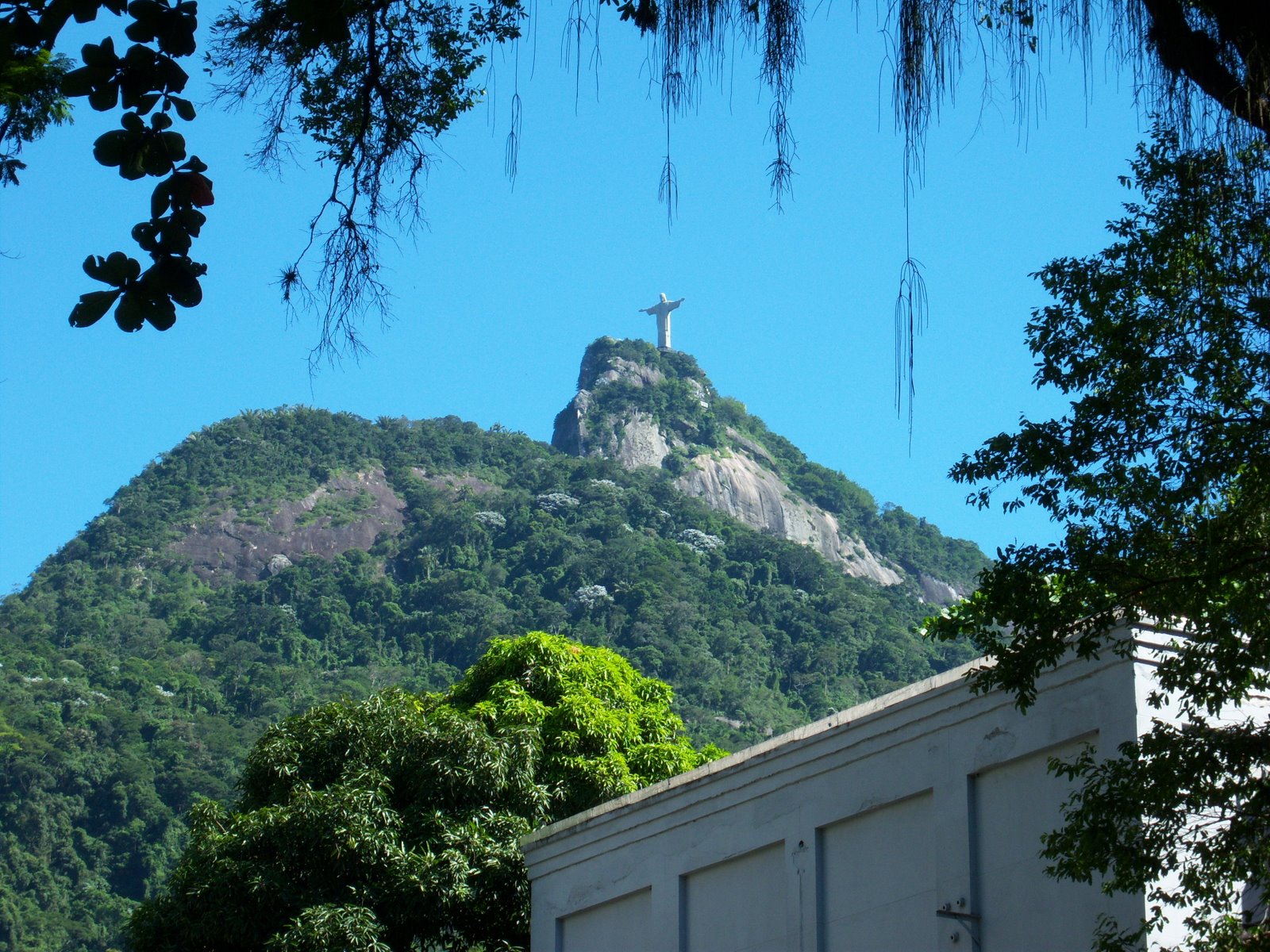 [Christ+the+Redeemer+statue+trhough+trees]