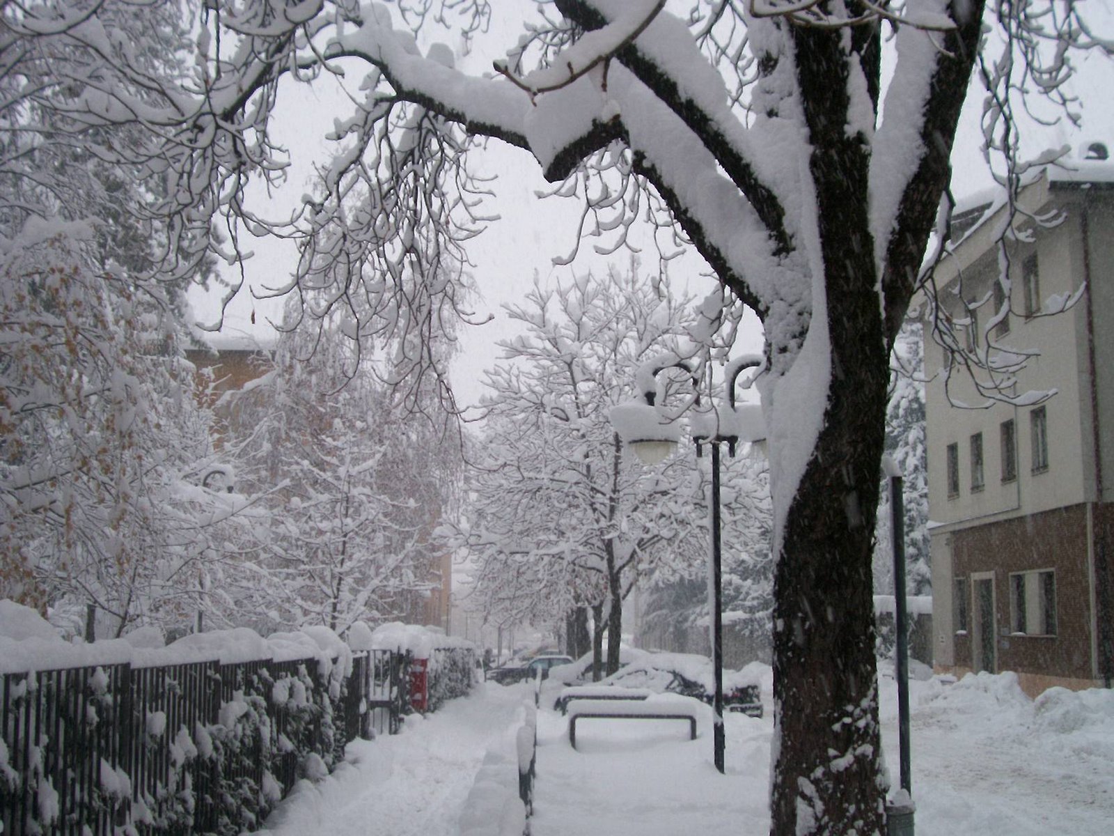 [Neve+a+Trento+-+gennaio+2006+016.jpg]