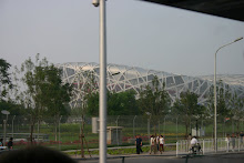 National Stadium aka the birds nest