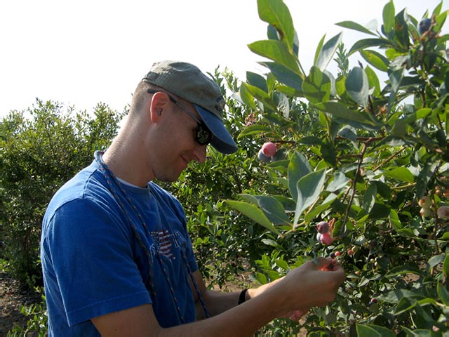 [2008-06-20-Picking+Blueberries005+1.jpg]