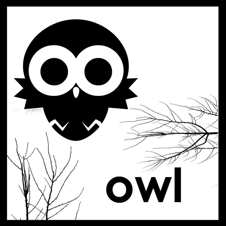 [Owl.jpg]