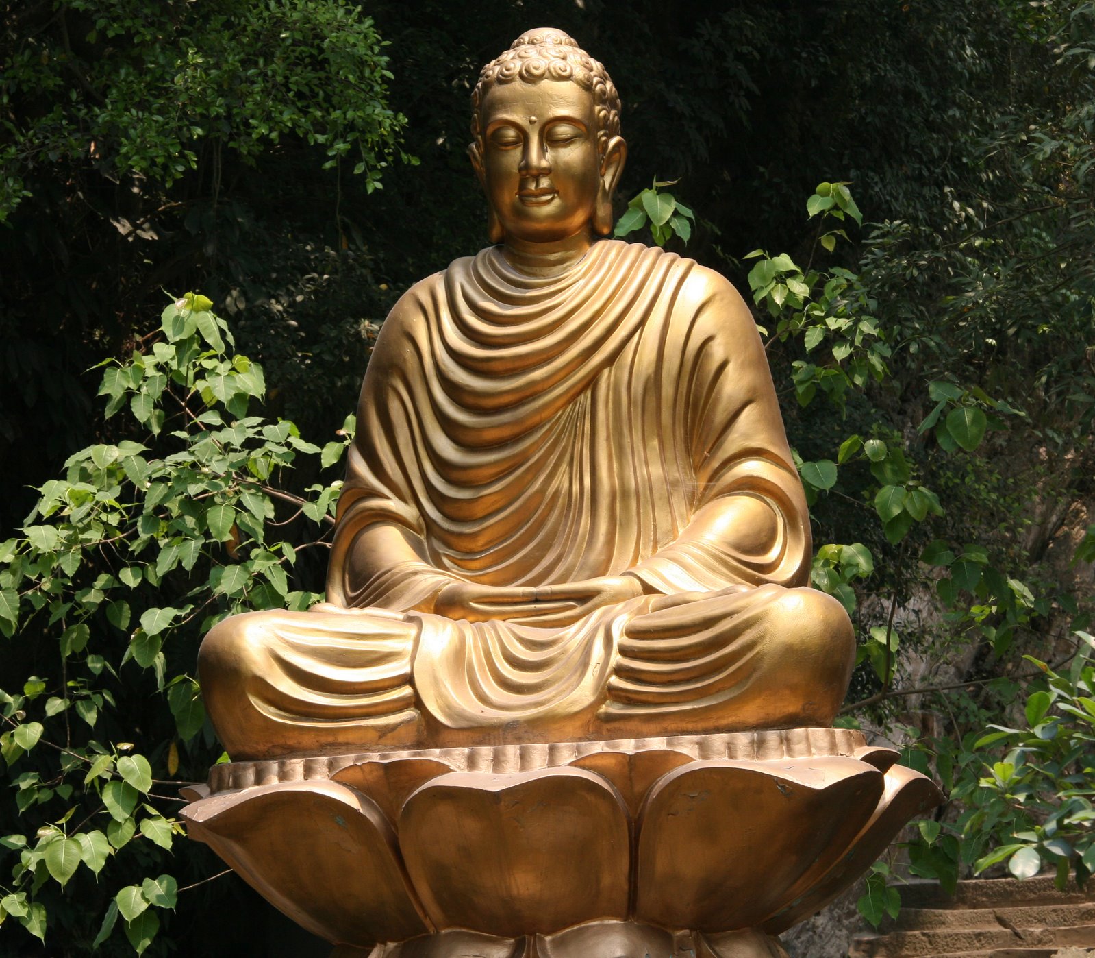 [IMG_2042+Budha+gold.JPG]