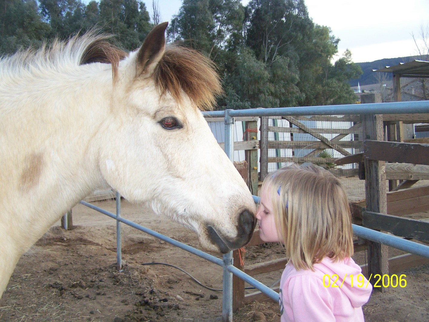 [Pony+Kisses.jpg]