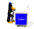 [penguin_fix_computer_md_wht.gif]