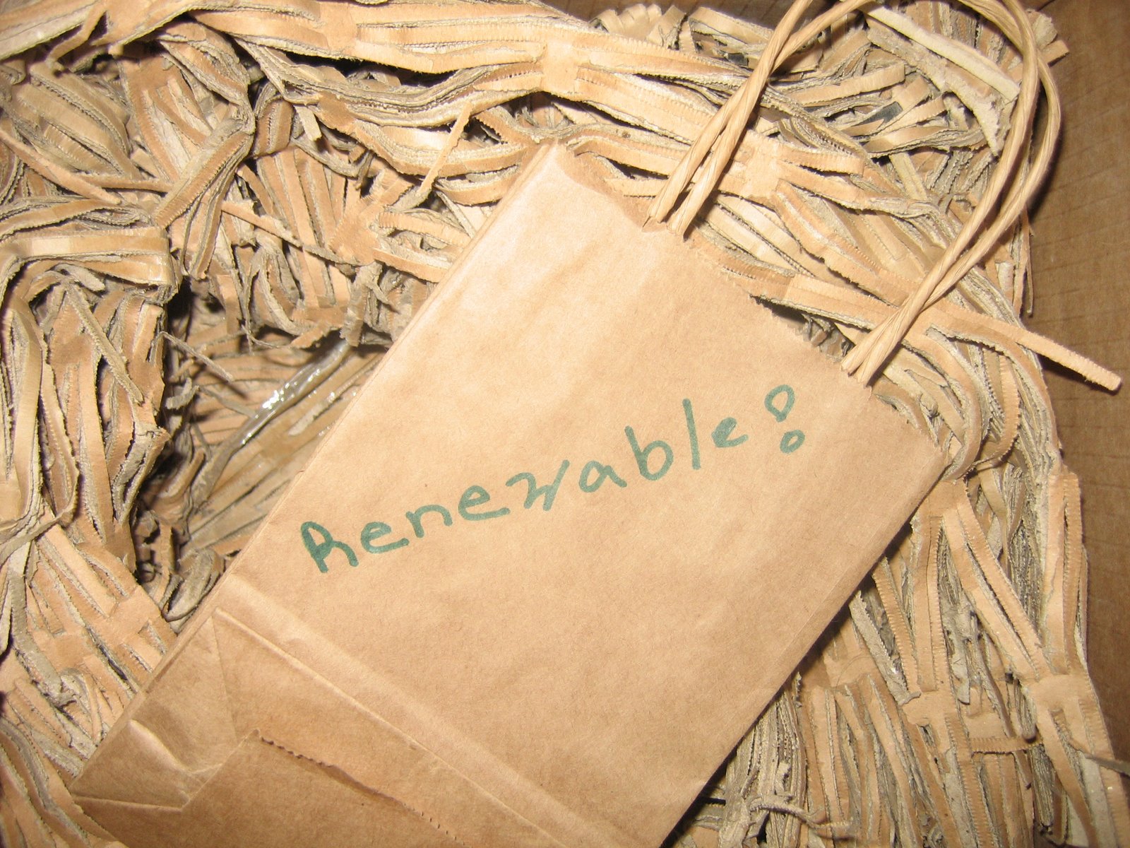 [Renewable+2592x1944.JPG]