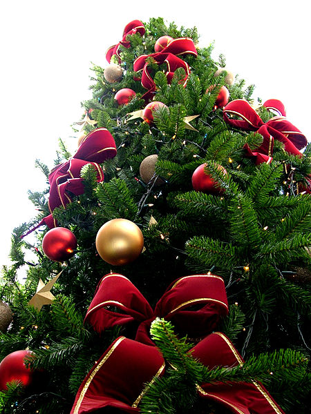 [450px-Christmas_tree_sxc_hu.jpg]