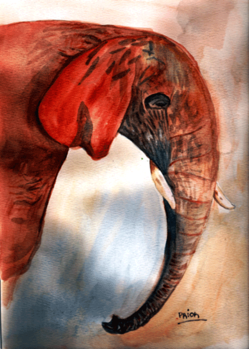 [elephants-watercolor.gif]