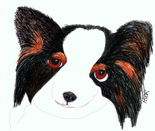 [Papillon-puppy-markers-5-x-.gif]
