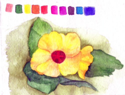 [Raphael-flower-test.jpg]
