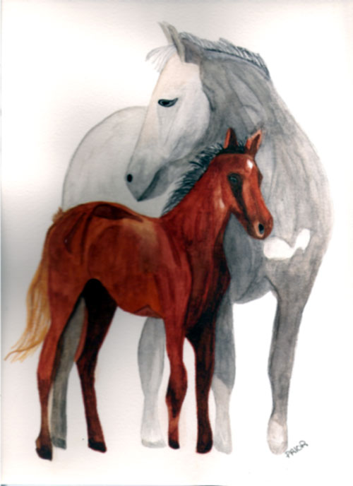 [Lipizzaner-horses.jpg]