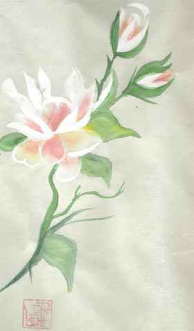 [magnolia-on-green-paper.jpg]
