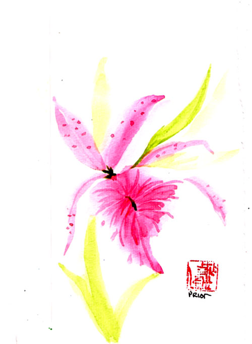 [Meilin-Orchid-cb.jpg]