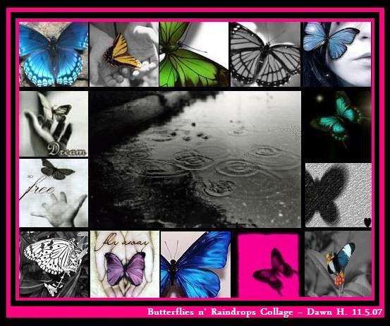 [raindrops+n'+butterflies+collage+11.5.07.jpg]