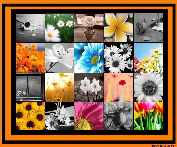 [flower+collage+10.22.07.jpg]