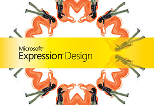 [Expression_Design.jpg]