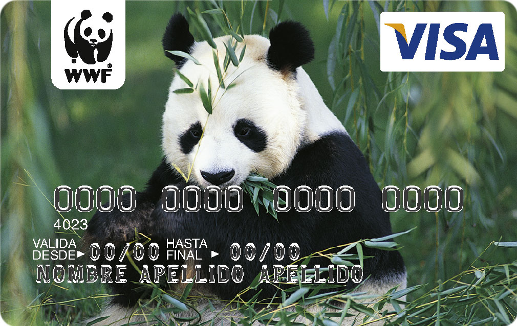 [45880_WWF80_WWF_Spain_S_V_TEMP.jpg]