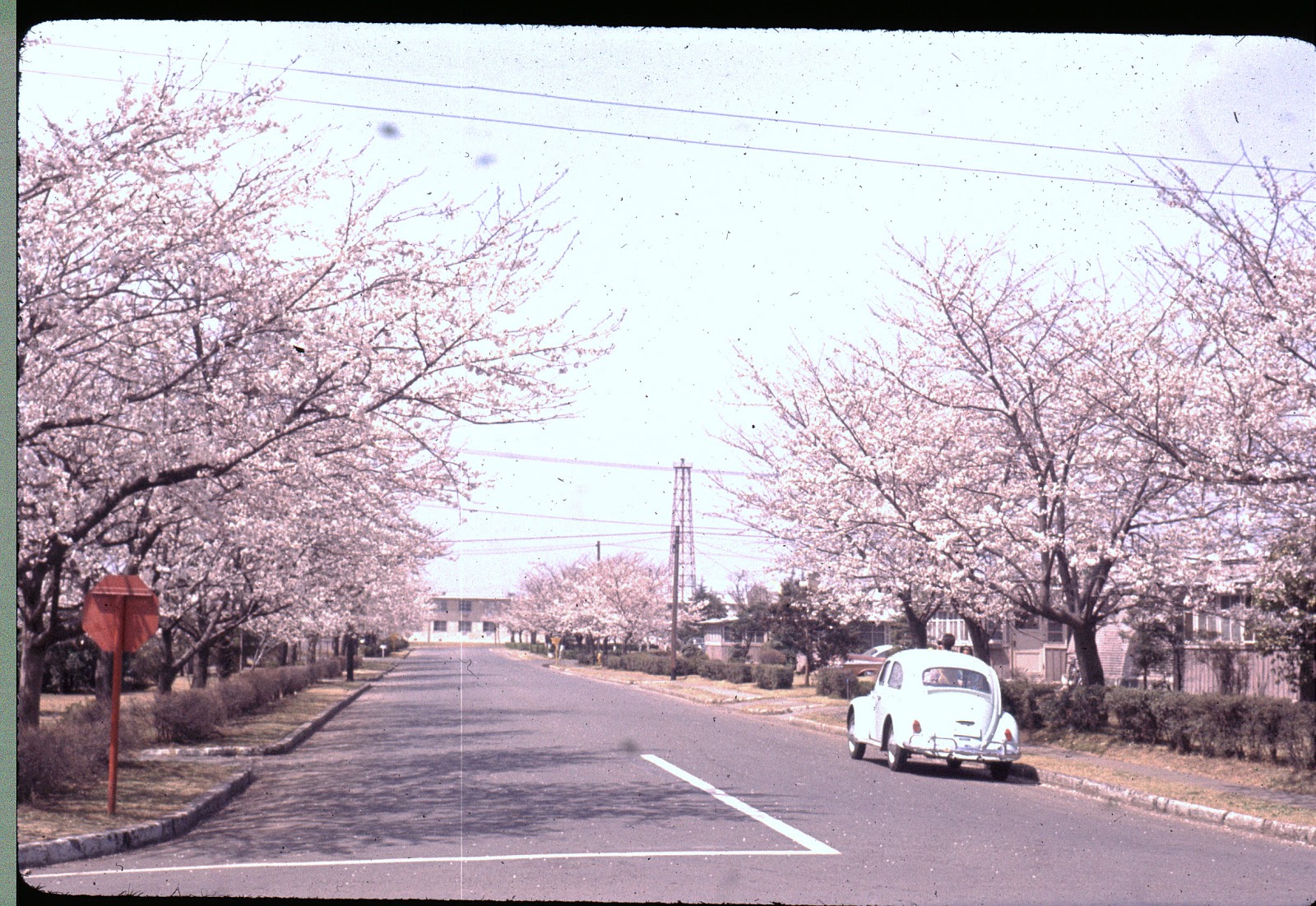[tachikawa+ab+japan+4-1965.jpg]