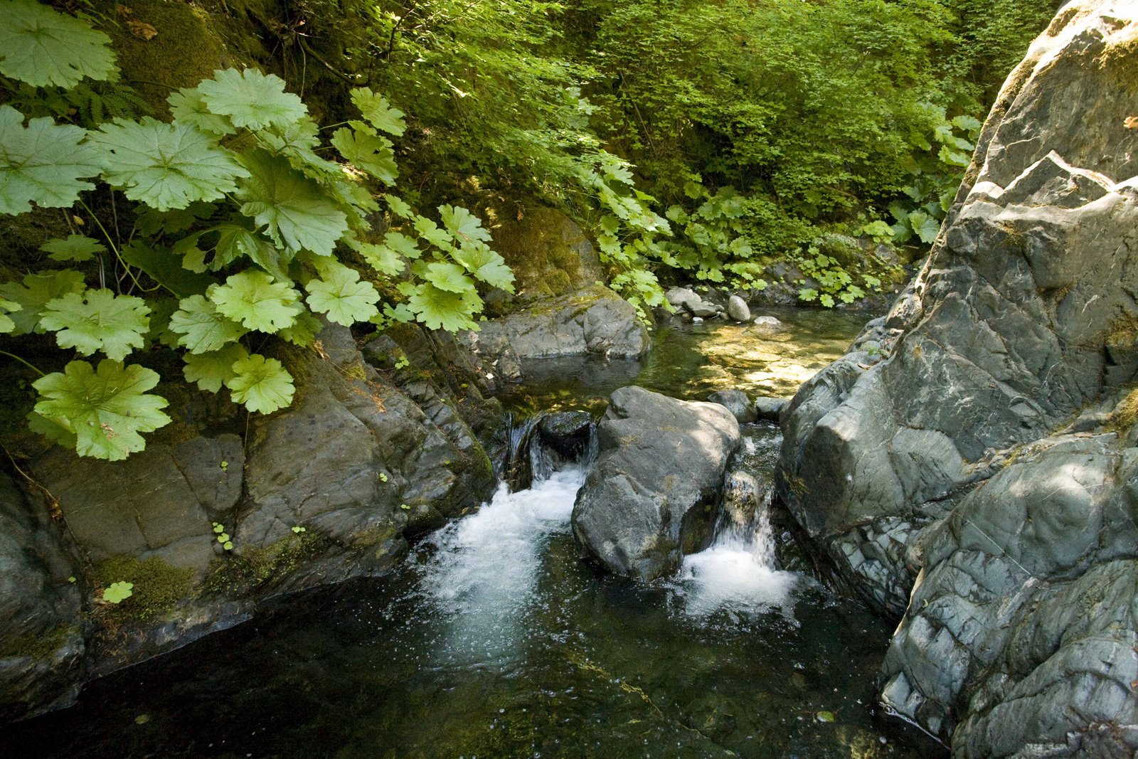 [Rush+Creek+Wilderness+1.JPG]