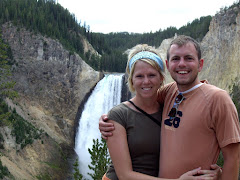 Lower Falls-Yellowstone 2007
