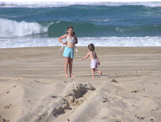 [children+beach.gif]