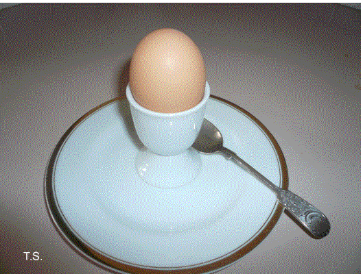 [morn+egg.gif]