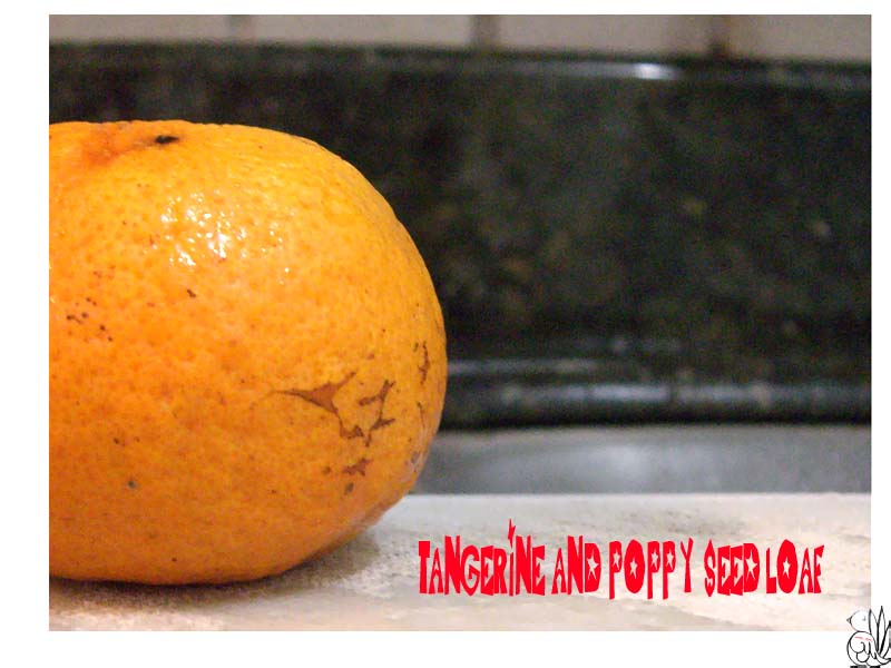 [tangerine+loaf+001.jpg]