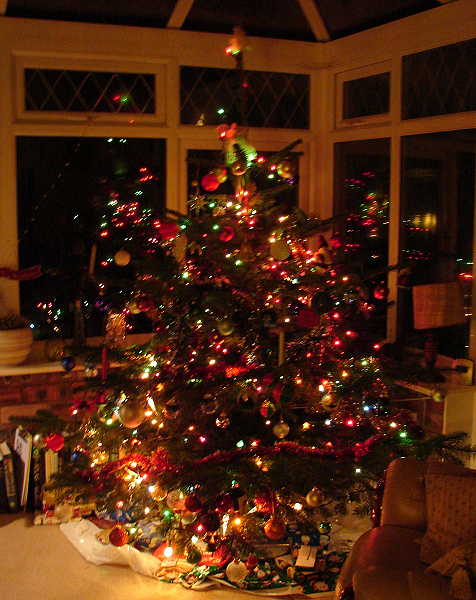 [christmas+tree+181207.JPG]