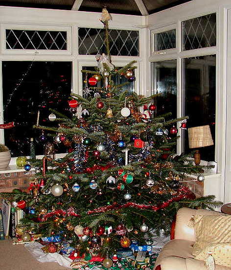 [christmas+tree+1812076.JPG]