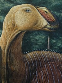 [hadrosaur.jpg]