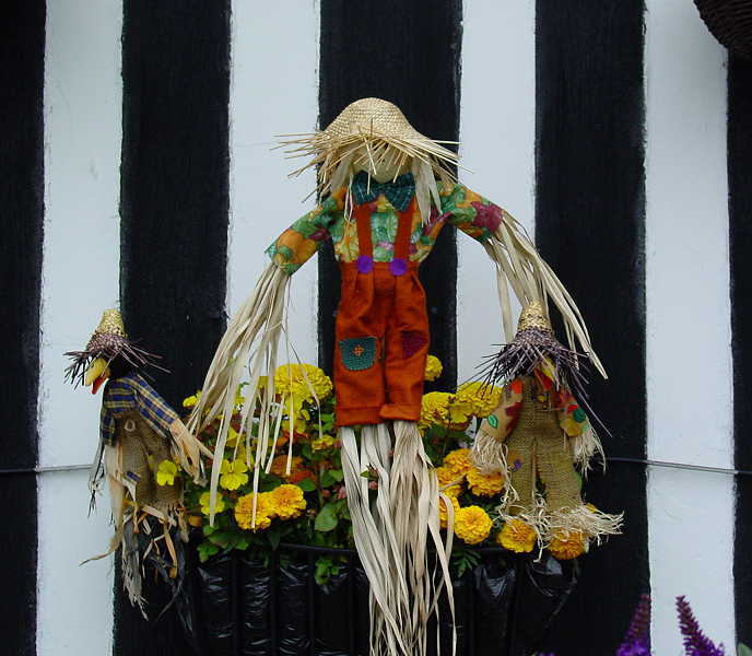[scarecrow+festival.JPG]