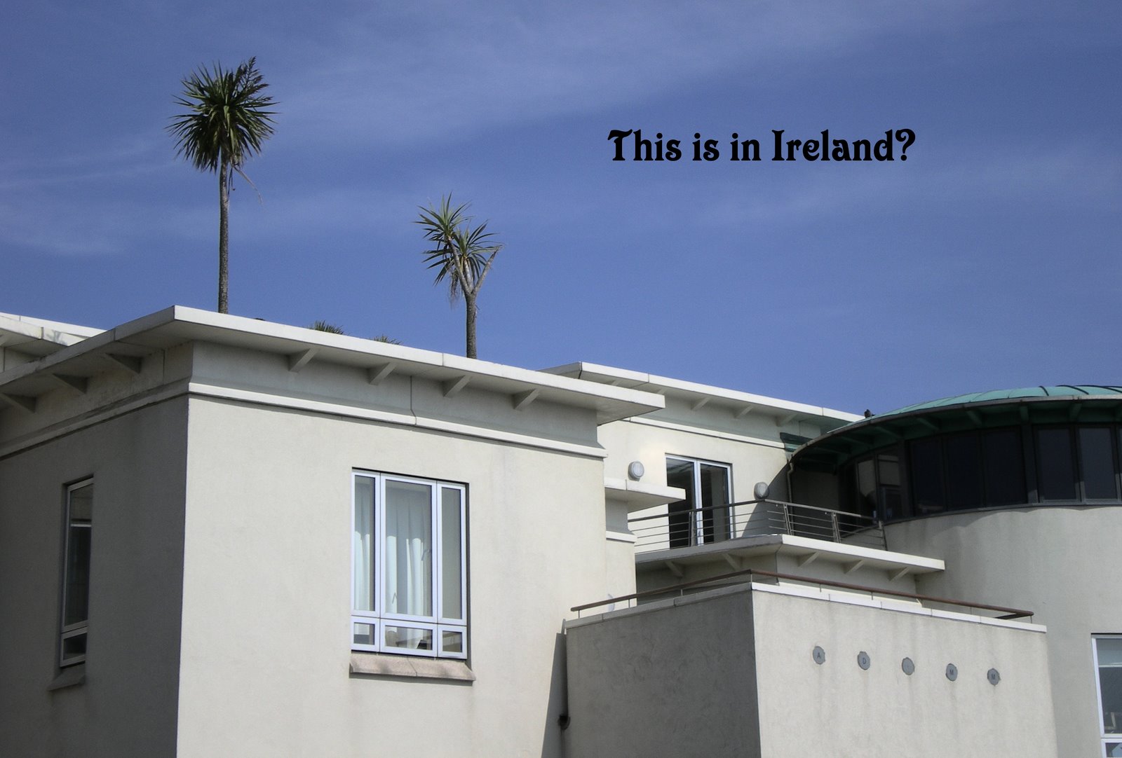 [palm+tree+house.jpg]
