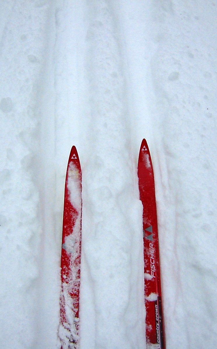 [2007+Dec+05+ski+tips+long.jpg]