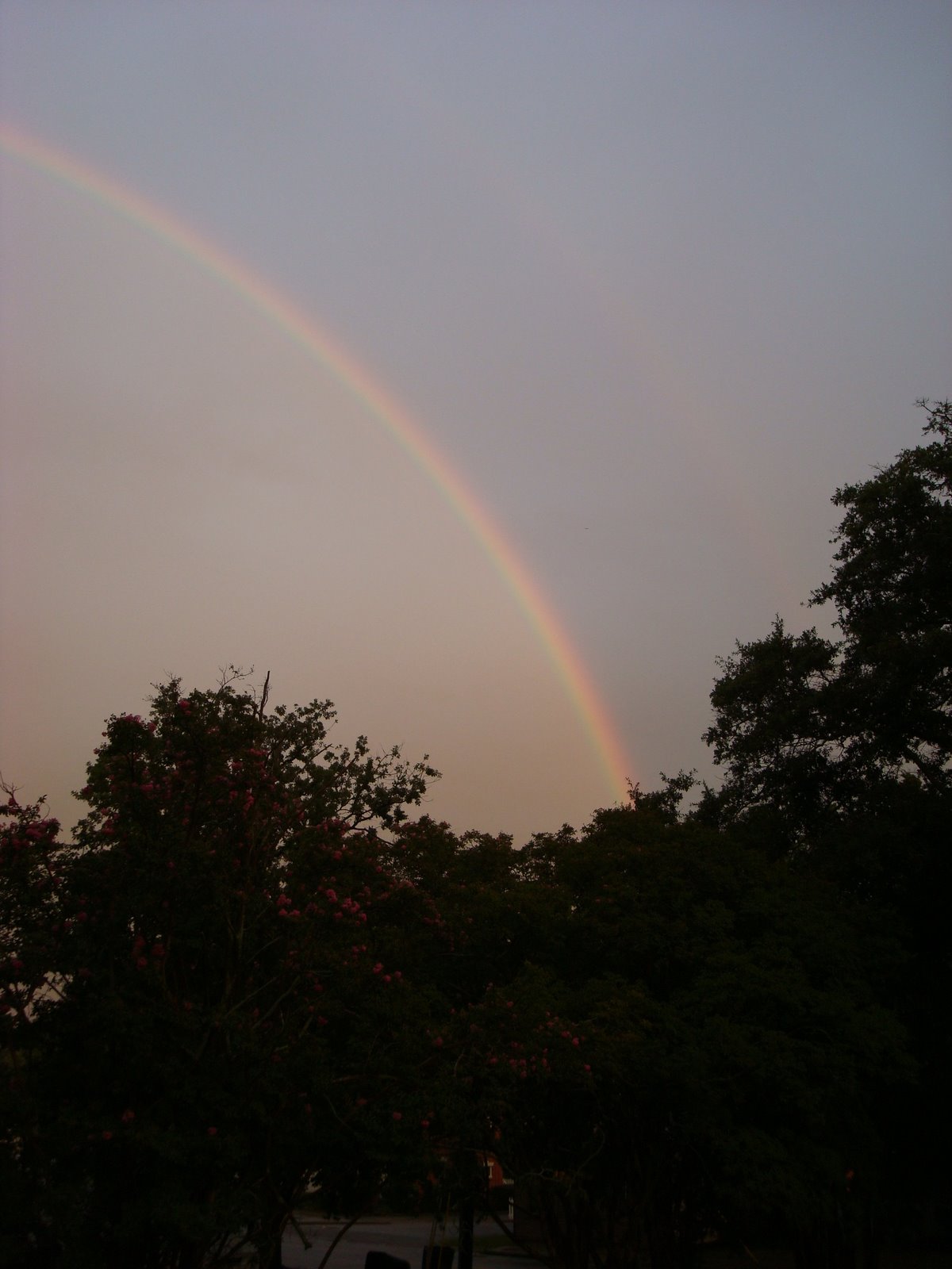 [rainbow+010.jpg]