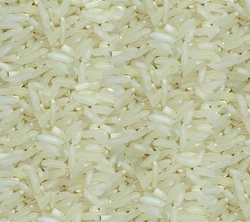 [Rice.jpg]