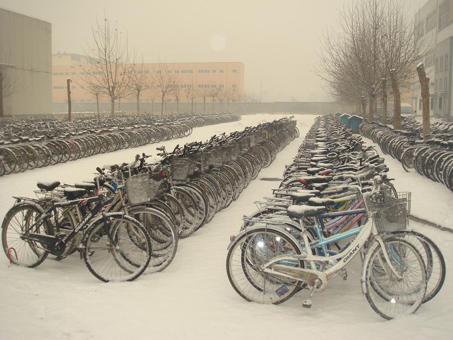 [bikes+snow.JPG]